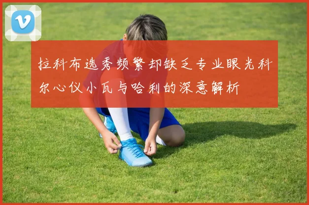 拉科布选秀频繁却缺乏专业眼光科尔心仪小瓦与哈利的深意解析